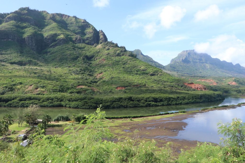 Streamlined Application Process Helps With Effort to Restore Alakoko  Fishpond : Kauai Now